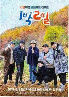 向往的生活 91影视大全