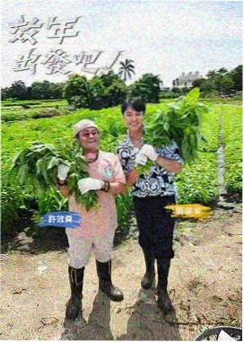 种地吧 91影视大全